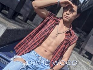 David_Wood