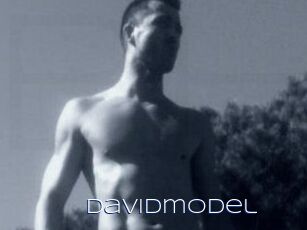 Davidmodel