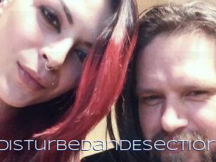 DeziDisturbedandEsection