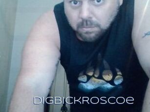 DigBickRoscoe