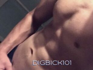 Digbick101