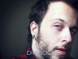 DingoCub