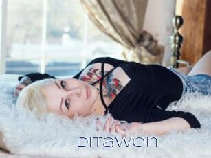 DitaWon Blue Hot