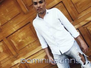 Dominikbunny
