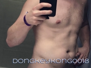 Dongkeykong0018