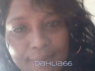 Dahlia66