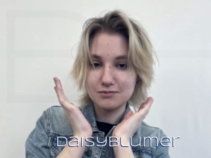 Daisyblumer