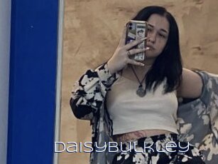 Daisybulkley