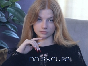 daisycure Blue Hot