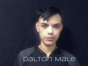 Dalton_Male
