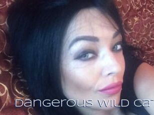dangerous_wild_cat Blue Hot