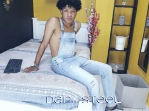 Danii_steel