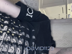 David1123