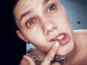 David_sk