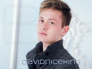 Davidniceking