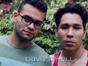 Davitschell