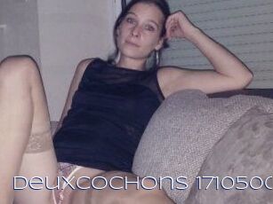 Deuxcochons