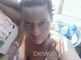 Dew23