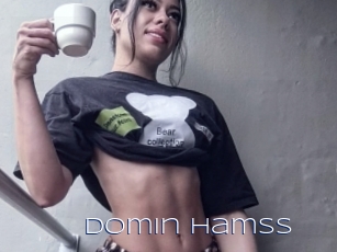 Domin_hamss
