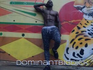 Dominantbigdick