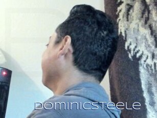 Dominicsteele