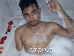 Dtorus