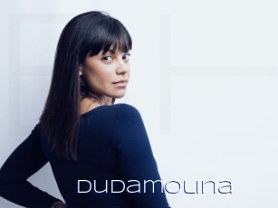 Dudamolina