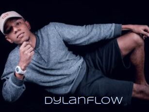 Dylanflow