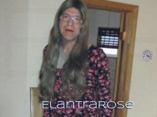 Elantra_Rose