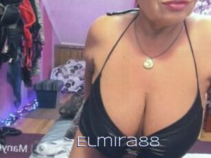 Elmira88
