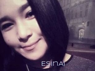 EsinAi
