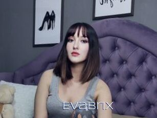 EvaBrix