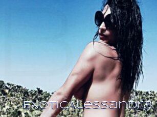 Exotic_Alessandra