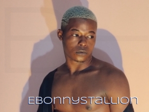 Ebonnystallion