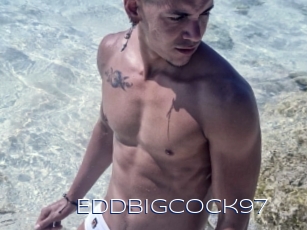 Eddbigcock97