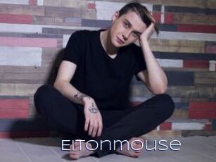 Eitonmouse