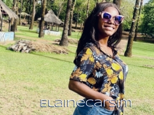 Elainecarsim