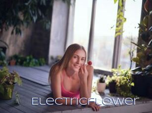 Electricflower