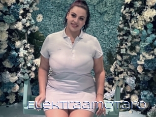 Elektraamotaro