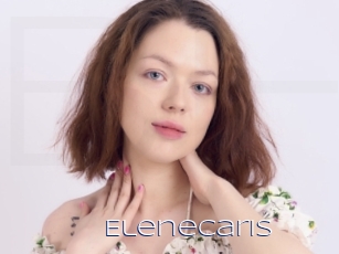 Elenecaris