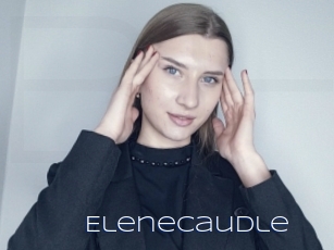 Elenecaudle