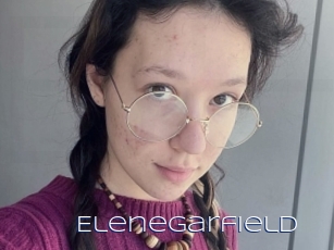 Elenegarfield