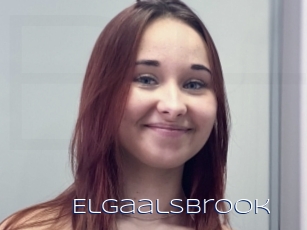 Elgaalsbrook