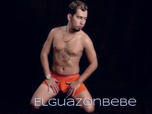 Elguazonbebe
