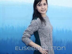 Elisebarberton