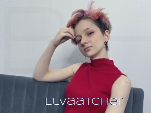 Elvaatcher