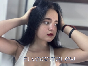 Elvagateley