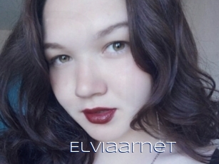 Elviaarnet