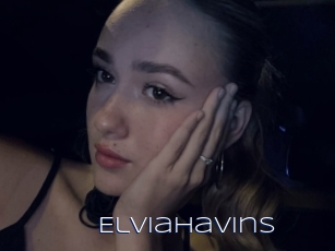 Elviahavins