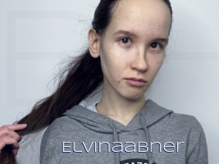 Elvinaabner